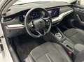 Skoda Octavia Limo 2,0 TDI Premium DSG.Matrix LED/ACC/DCC/Nav... Weiß - thumbnail 11