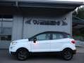 Ford EcoSport 1.0 EcoBoost TITANIUM *SYNC3*SHZ*PDC*LM-FELGEN* Blanc - thumbnail 6