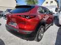 Mazda CX-30 Head Up Kamera el. Heckklappe Rouge - thumbnail 4