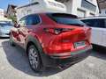 Mazda CX-30 Head Up Kamera el. Heckklappe Rouge - thumbnail 3