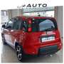 Fiat New Panda 1.0 firefly hybrid Sport 70cv Gpl Červená - thumbnail 4