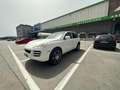 Porsche Cayenne Cayenne I 2009 3.0 tdi V6 tiptronic dpf Bianco - thumbnail 3
