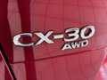 Mazda CX-30 D116 AWD Comfort+/SO/ST Aut. Rot - thumbnail 6