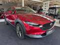 Mazda CX-30 D116 AWD Comfort+/SO/ST Aut. Rot - thumbnail 2