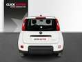 Fiat Panda 1.0 70CV Hybrid Blanco - thumbnail 5