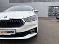 Skoda Fabia Essence 95 PS nur € 15.999,-* Monatlich € 121,- Weiß - thumbnail 20