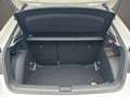 Skoda Fabia Essence 95 PS nur € 15.999,-* Monatlich € 121,- Weiß - thumbnail 17
