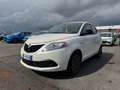 Lancia Ypsilon 5 Porte 1.2  Gold Bianco - thumbnail 4
