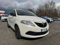 Lancia Ypsilon 5 Porte 1.2  Gold Bianco - thumbnail 1