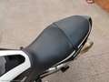 Moto Morini Scrambler 1200 Scrambler 1200 RATE AUTO MOTO SCOOTER Nero - thumbnail 11