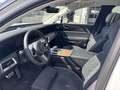 Hongqi E-HS9 Executive 99kWh Executive Blanc - thumbnail 6