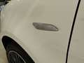 Lancia Ypsilon 1.2 69 CV 5 porte Gold Weiß - thumbnail 9