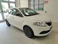 Lancia Ypsilon 1.2 69 CV 5 porte Gold Weiß - thumbnail 1