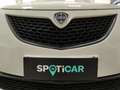 Lancia Ypsilon 1.2 69 CV 5 porte Gold Weiß - thumbnail 15