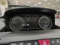 Lancia Ypsilon 1.2 69 CV 5 porte Gold Weiß - thumbnail 24