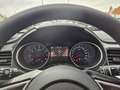 Kia Ceed / cee'd Ceed Kombi, 1,5 T Navi, Winterpaket Blanc - thumbnail 6