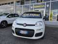 Fiat Panda Hybrid /Radio /5 posti Nessun obbligo finanziario! Bianco - thumbnail 1