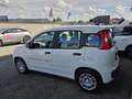 Fiat Panda Hybrid /Radio /5 posti Nessun obbligo finanziario! Bianco - thumbnail 2