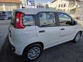 Fiat Panda Hybrid /Radio /5 posti Nessun obbligo finanziario! Bianco - thumbnail 3