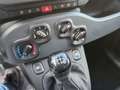 Fiat Panda Hybrid /Radio /5 posti Nessun obbligo finanziario! Bianco - thumbnail 13