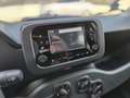 Fiat Panda Hybrid /Radio /5 posti Nessun obbligo finanziario! Bianco - thumbnail 12