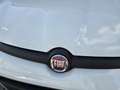 Fiat Panda Hybrid /Radio /5 posti Nessun obbligo finanziario! Bianco - thumbnail 5