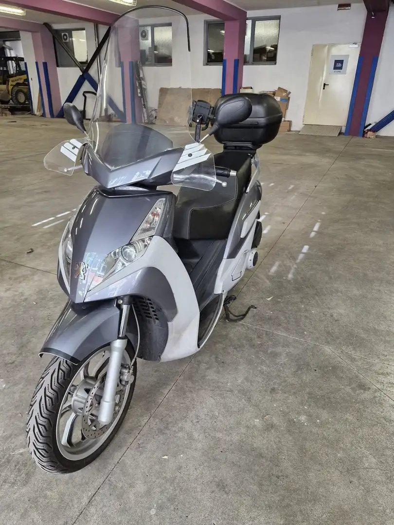 Peugeot Geopolis 250 Executive Grigio - 1