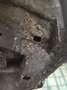 Fiat Ducato 1,9 - thumbnail 3