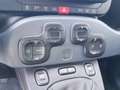 Fiat Panda Panda 1.0 firefly hybrid Cross s&s 70cv 5p.ti Blanc - thumbnail 10