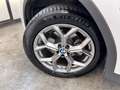 BMW X4 xDrive20d 48V Bianco - thumbnail 14