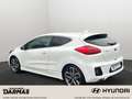 Kia Ceed / cee'd Ceed 1.6 T-GDI GT-Challenge 18" Recaro Weiß - thumbnail 8