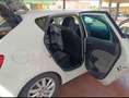 SEAT Ibiza 1.6 bifuel Bianco - thumbnail 5