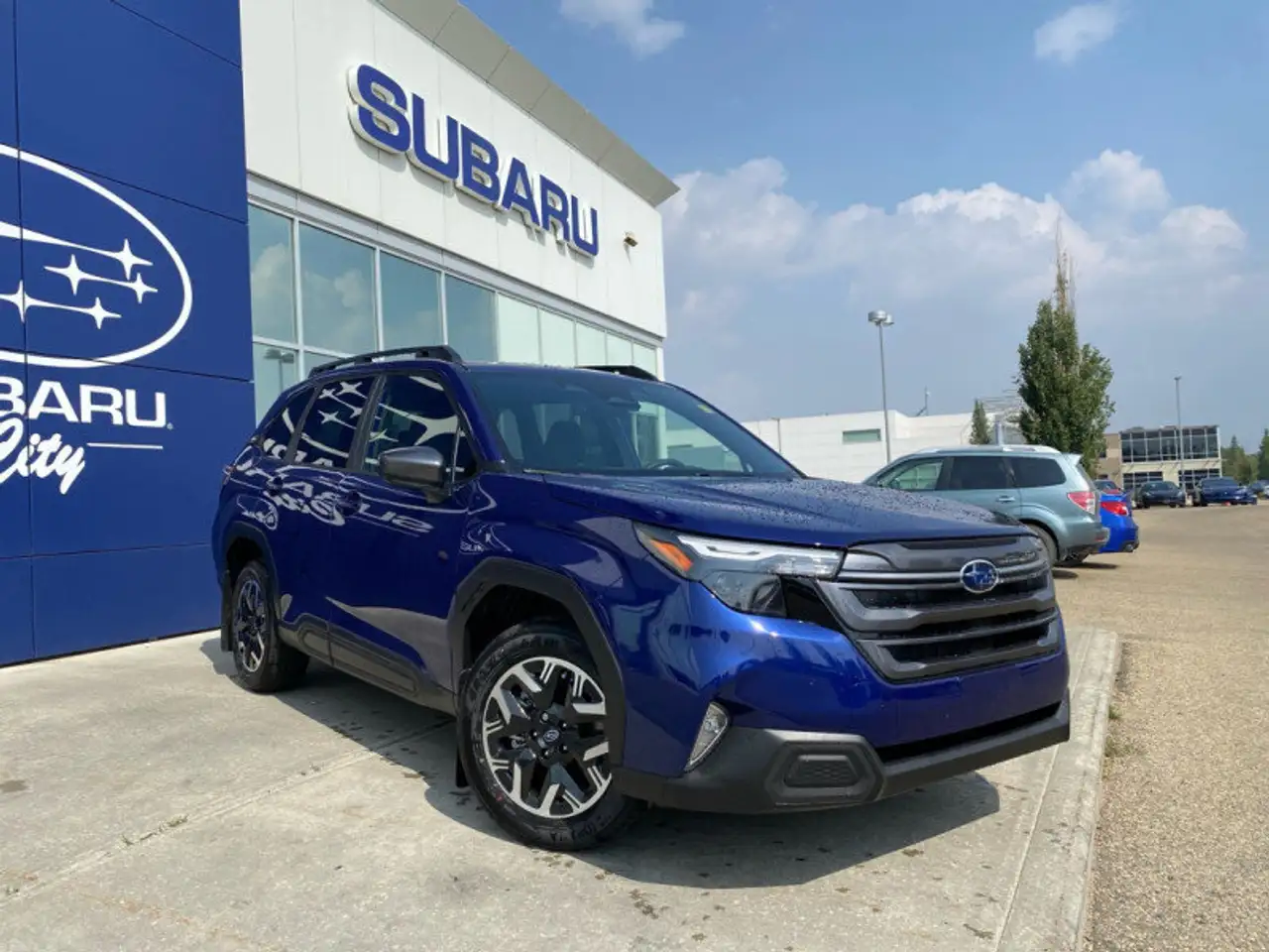 Subaru Forester fotografie Subaru Forester