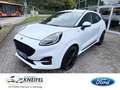 Ford Puma ST-Line X Navi Digitales Cockpit Soundsystem B & O Bianco - thumbnail 1