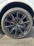 Audi Q8 55 TFSI e quattro Tiptronic Blanco - thumbnail 5