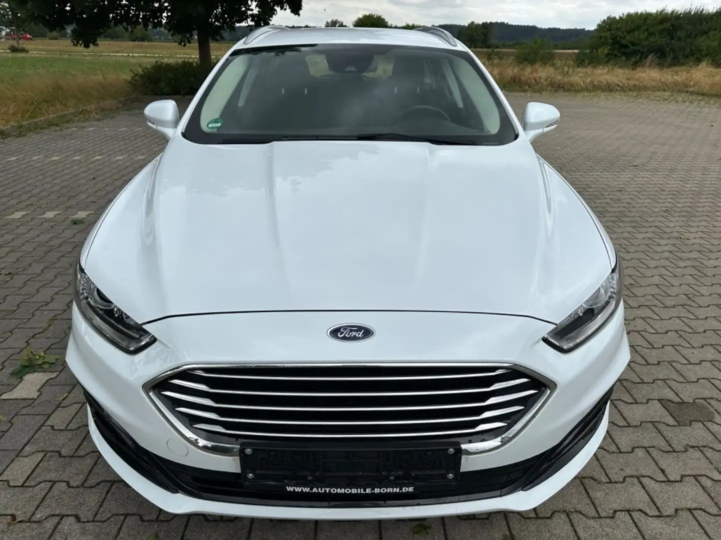 Ford Mondeo 2,0 EcoBlue 110kW Business Turnier Wit - 2