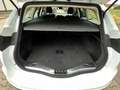 Ford Mondeo 2,0 EcoBlue 110kW Business Turnier Wit - thumbnail 13
