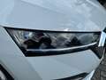 Skoda Octavia Combi 2.0 TDI DSG LED DAB Winterpaket Weiß - thumbnail 29