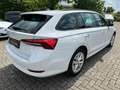Skoda Octavia Combi 2.0 TDI DSG LED DAB Winterpaket Weiß - thumbnail 5
