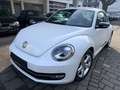 Volkswagen Beetle 2.0 TDI Sport,Navi,PDC,Sitzhz.,Klimatr. Blanc - thumbnail 1