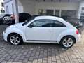 Volkswagen Beetle 2.0 TDI Sport,Navi,PDC,Sitzhz.,Klimatr. Blanc - thumbnail 6