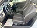Volkswagen Beetle 2.0 TDI Sport,Navi,PDC,Sitzhz.,Klimatr. Blanc - thumbnail 13