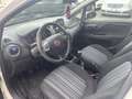 Fiat Punto Evo 5p 1.3 mjt Dynamic s&s 75cv dpf Bianco - thumbnail 9