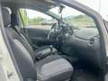 Fiat Punto Evo 5p 1.3 mjt Dynamic s&s 75cv dpf Bianco - thumbnail 15