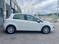 Fiat Punto Evo 5p 1.3 mjt Dynamic s&s 75cv dpf Bianco - thumbnail 4