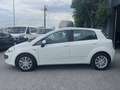 Fiat Punto Evo 5p 1.3 mjt Dynamic s&s 75cv dpf Bianco - thumbnail 8