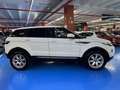 Land Rover Range Rover Evoque 2.2L TD4 Prestige 4x4 Blanco - thumbnail 5