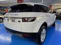 Land Rover Range Rover Evoque 2.2L TD4 Prestige 4x4 Blanco - thumbnail 9