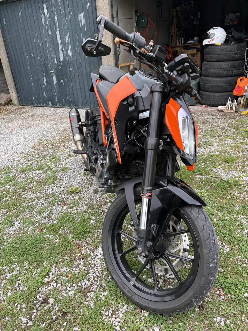 KTM 125 Duke echapement akrapovik - 2