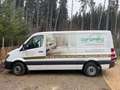 Mercedes-Benz Sprinter 313 CDI (BlueTec) Sprinter 906.131 Weiß - thumbnail 1